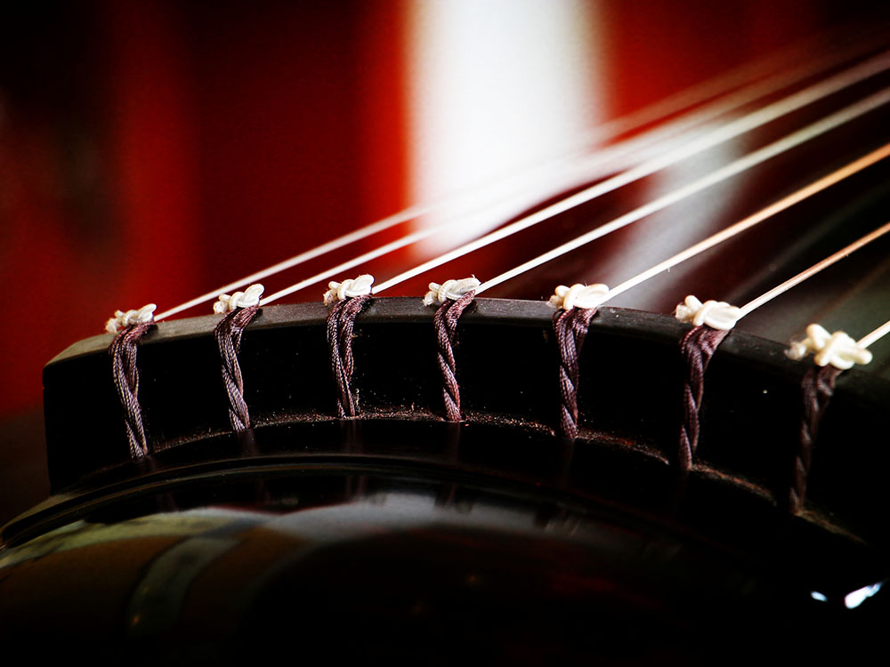 寓乐于教，琴能养德